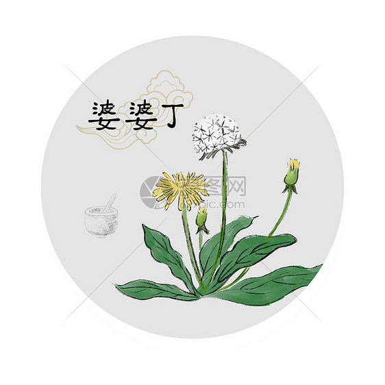 中草药插画图片