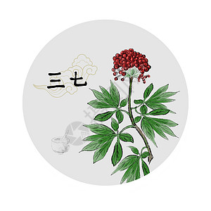 中草药插画图片