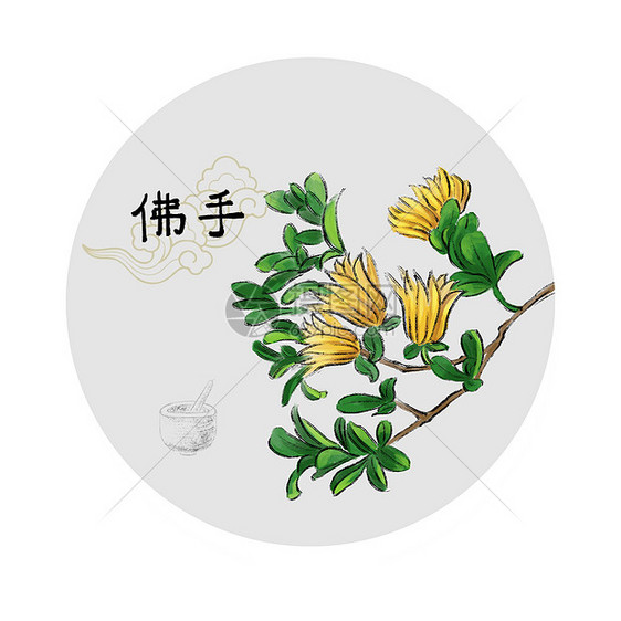 中草药插画图片