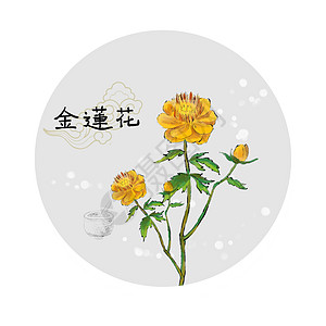 中草药插画图片