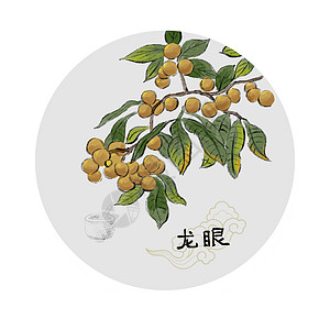 中草药插画图片