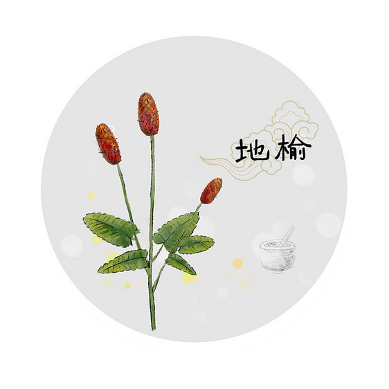 中草药插画图片