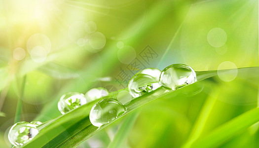 雨水风景春天风景设计图片