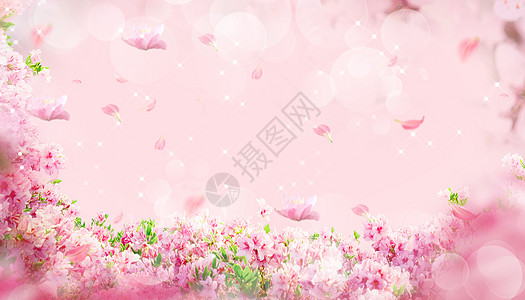 粉色梦幻花朵背景图片