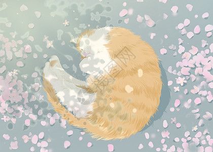 樱花树下的猫背景图片