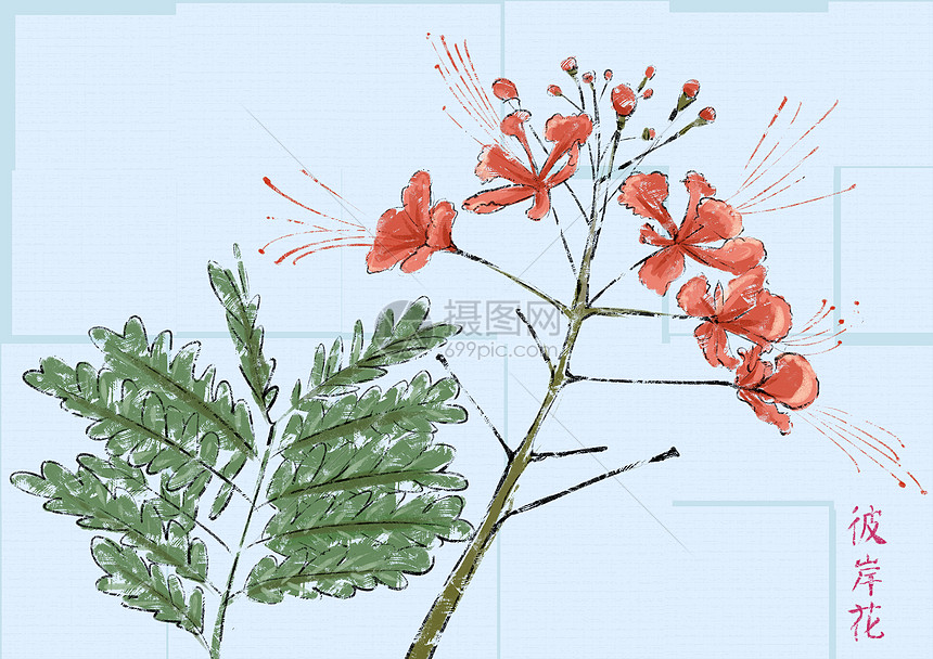 水墨彼岸花插画图片下载 正版图片 摄图网