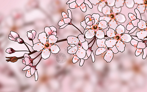 粉色温柔樱花图片