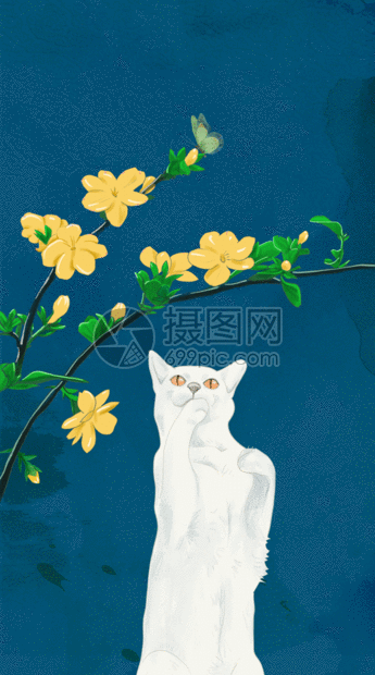 猫与迎春花动图图片 正版gif素材 摄图网