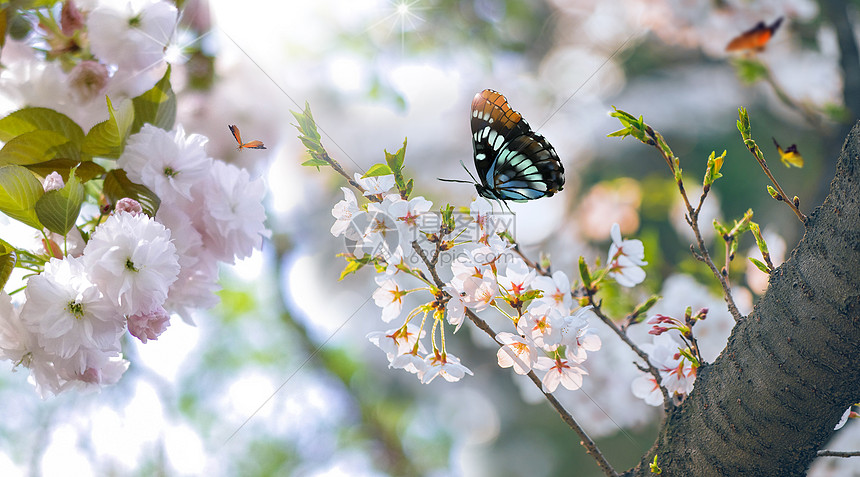 春暖花开