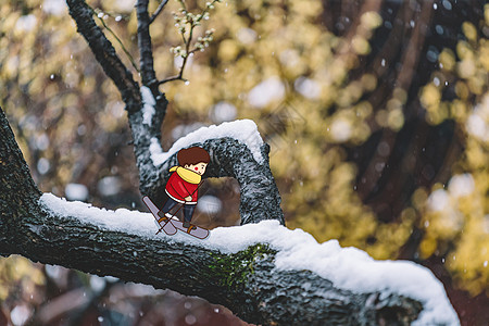 滑雪的男孩背景图片