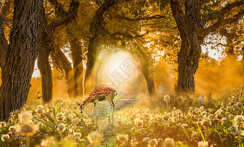 秋天草地秋天的梦幻森林设计图片