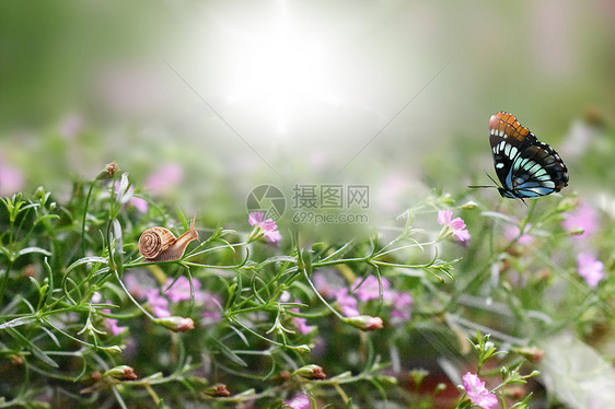 春暖花开图片