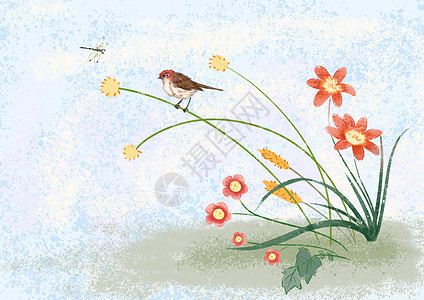 水墨的鸟和蜻蜓和花图片