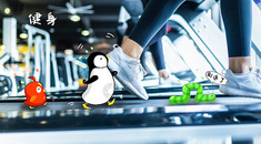企鹅也爱健身图片