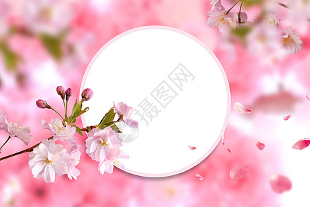 水彩樱花春天盛开的花朵设计图片