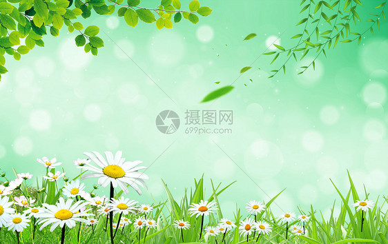 清新春天风景图片