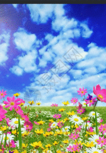 丁香花盛开gif图片-丁香花盛开动态图-丁香花盛开gif格式下载-摄图网