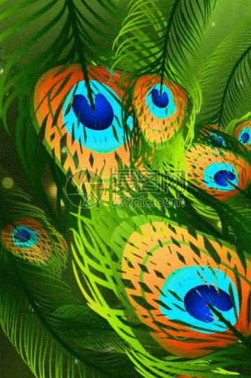 孔雀羽毛飘散唯美h5动态背景动图图片-正版gif素材401031954-摄图网