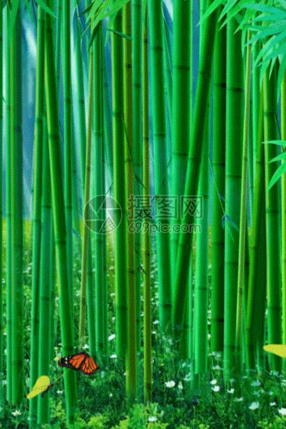 gif动态图片下载,该gif动态图片标题为划船梦游竹海仙境h8动态背景