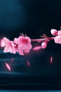 粉色桌子水墨江南水乡梅花扇子花瓣h5动态背景素材高清图片