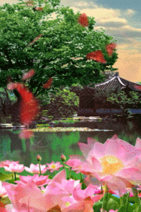 荷塘美景h5动态背景素材图片素材