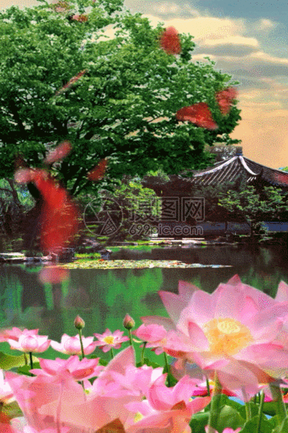 图正版 gif动态图片下载,该gif动态图片标题为荷塘美景h5动态背景素材