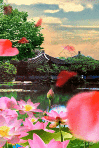 古典素雅水墨工笔荷花gif图片-古典素雅水墨工笔荷花动态图-古典素雅