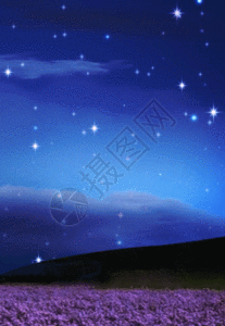 月夜背景图片 月夜背景素材 月夜背景高清图片 摄图网图片下载 月夜背景图片 月夜背景素材 月夜背景高清图片 摄图网图片下载