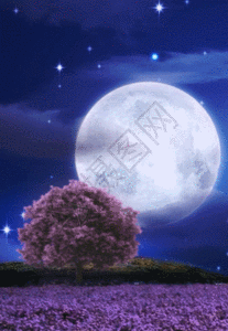 梦幻时空隧道h5动态背景素材高清图片金色粒子坠落h5动态背景素材高清