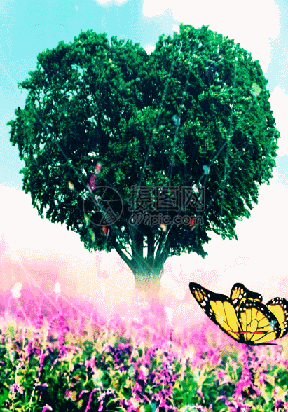 蝴蝶薰衣草h5动态背景动图图片-正版gif素材401032537-摄图网