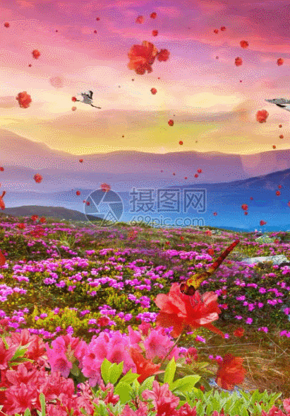 摄图网为您提供gif动图正版 gif动态图片下载,该gif动态图片标题为