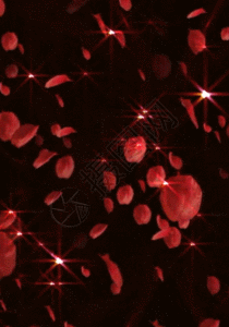 玫瑰珠光纸gif图片-玫瑰珠光纸动态图-玫瑰珠光纸gif格式下载-摄图网