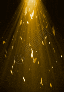 金色羽毛唯美背景图片素材