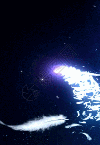 短羽毛gif图片-短羽毛动态图-短羽毛gif格式下载-摄图网