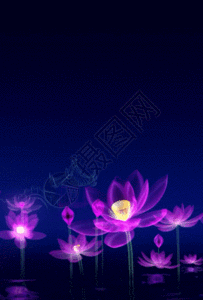 佛系莲花头像图片