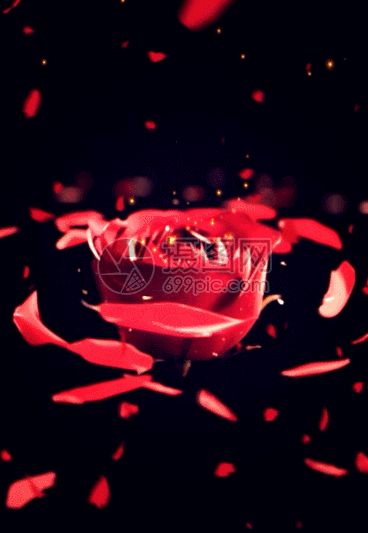 旋转3D玫瑰花情人节婚礼婚庆背景图片