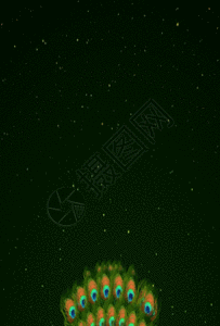 25舞蹈gif图片-25舞蹈动态图-25舞蹈gif格式下载-摄图网