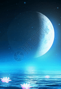 唯美月亮海面荷花背景图片