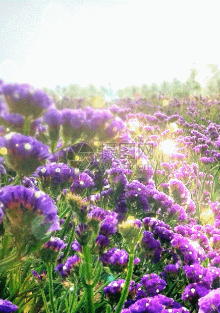 摄图网为您提供gif动图正版 gif动态图片下载,该gif动态图片标题为