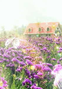 花园背景图片 花园背景素材图片大全 摄图网