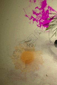 江南水乡蝴蝶花瓣中国风背景图片素材