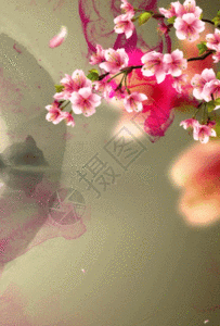 江南水乡蝴蝶花瓣中国风背景图片