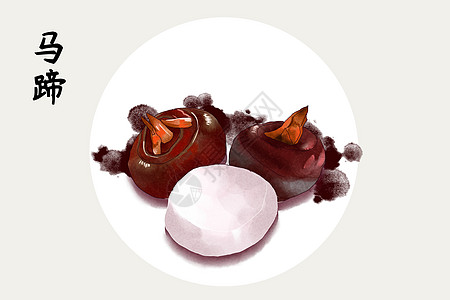 马蹄咸插画_马蹄咸卡通_马蹄咸插图_手绘_板绘_摄图网