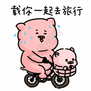 情侣小猪骑自行车表情包gif图片