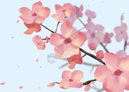 粉红背景樱花gif高清图片