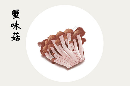 蟹味菇插画手绘野山菇高清图片