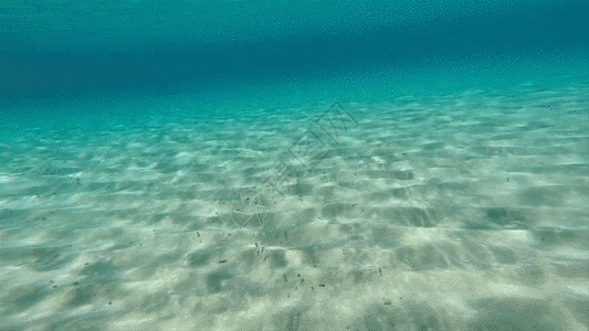 海洋水面图片 海洋水面素材 海洋水面高清图片 摄图网图片下载 海洋水面图片 海洋水面素材 海洋水面高清图片 摄图网图片下载