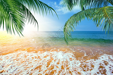 夏天的海滩背景图片