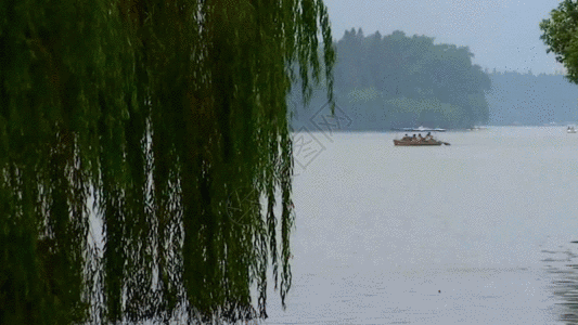 湖面垂柳GIF图片
