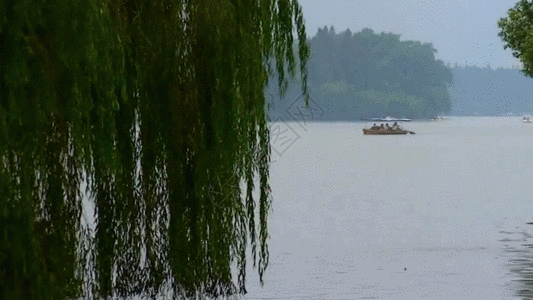 湖面垂柳GIF湖水高清图片素材